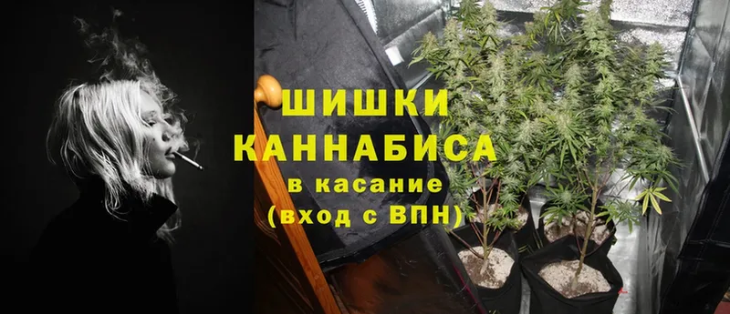 Каннабис сатива  как найти   Белый 